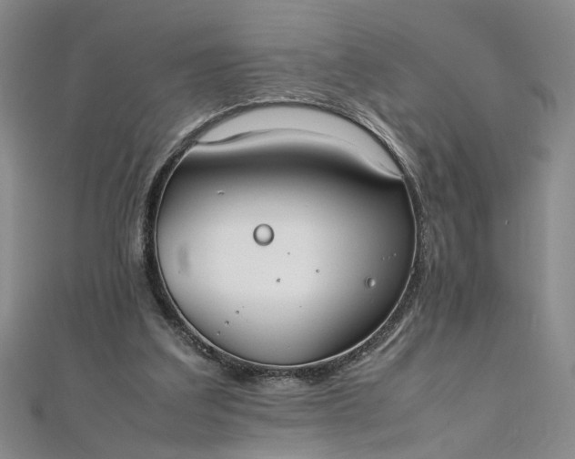 X0000111860203200908061342