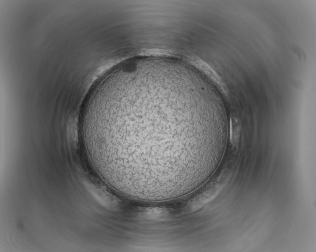 X0000111860204200908061342