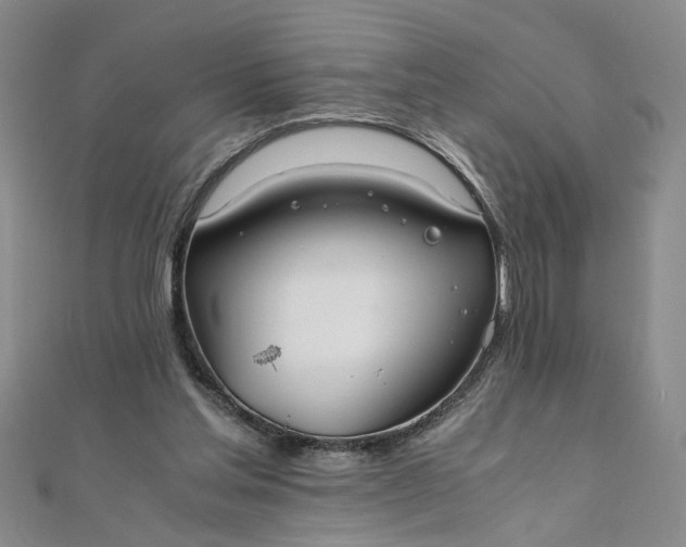 X0000111860205200908061342