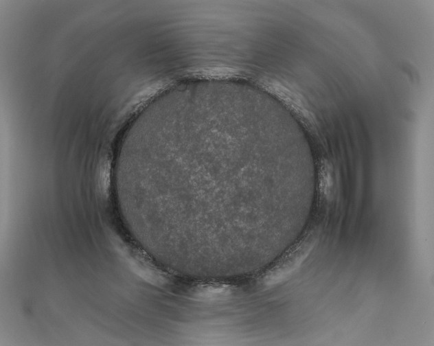 X0000111860206200908061342