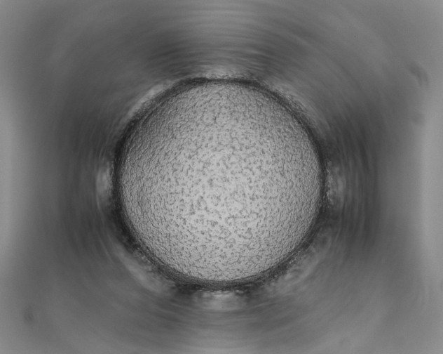 X0000111860208200908061342