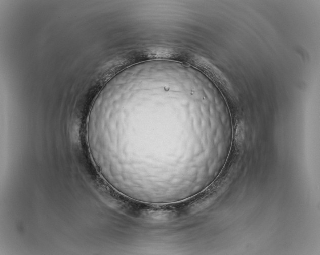 X0000111860209200908061342