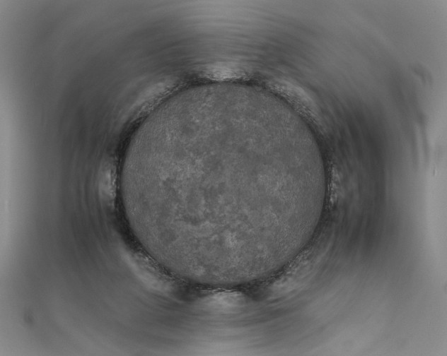 X0000111860210200908061342