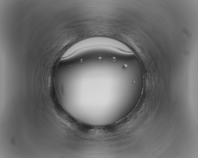 X0000111860211200908061342