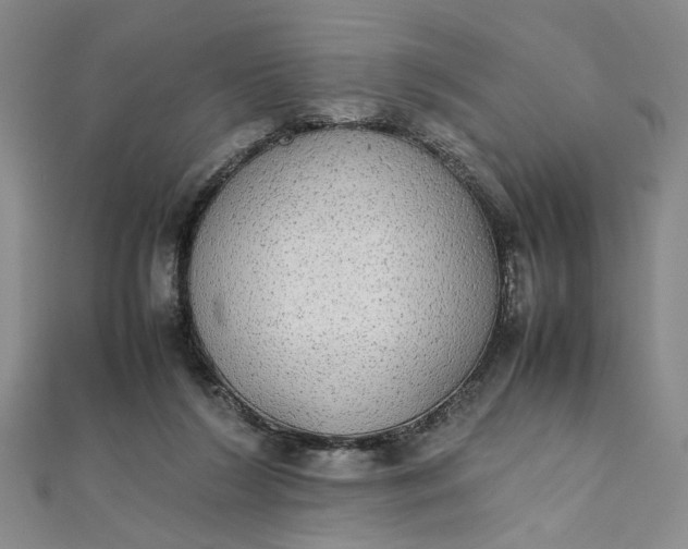 X0000111860212200908061342