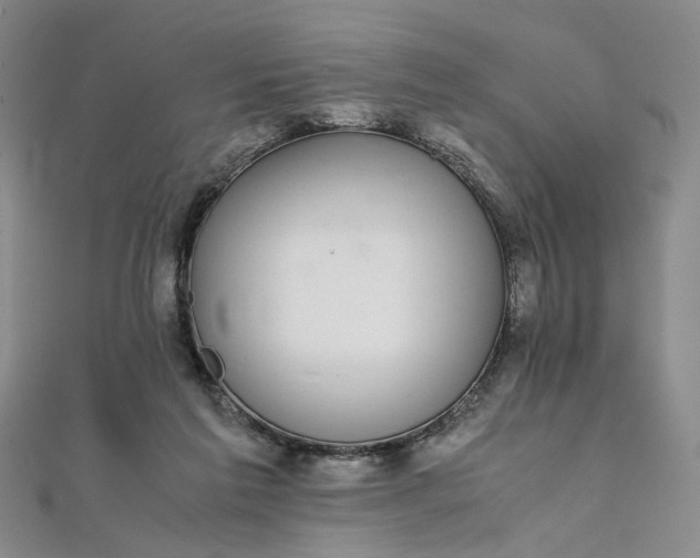 X0000111860213200908061342