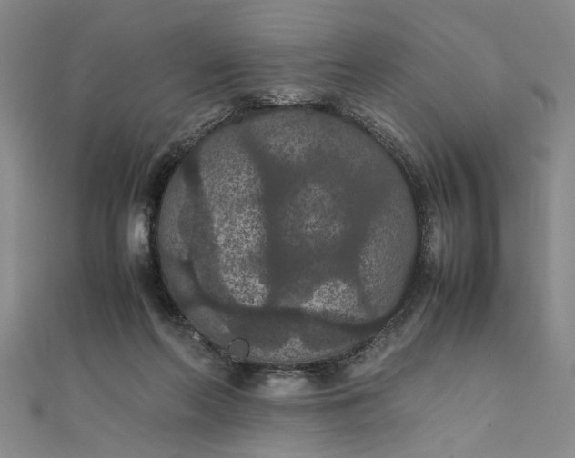 X0000111860214200908061342