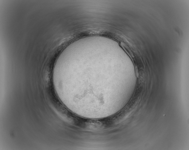 X0000111860215200908061342