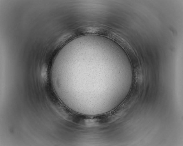 X0000111860216200908061342