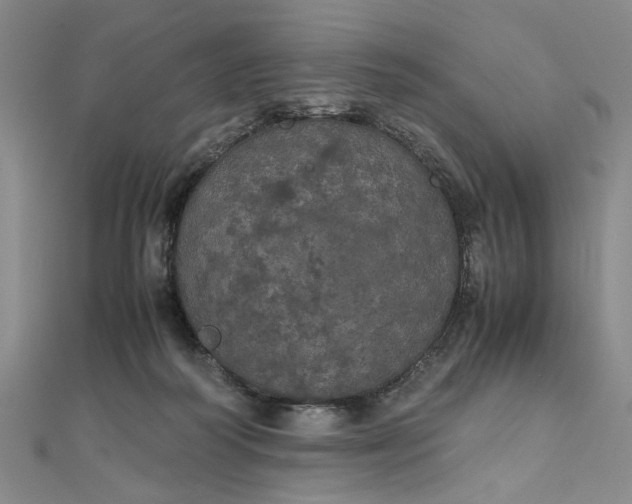 X0000111860218200908061342