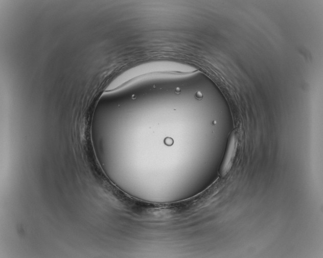 X0000111860219200908061342