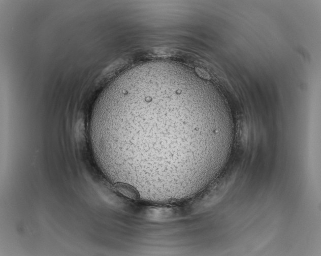 X0000111860220200908061342