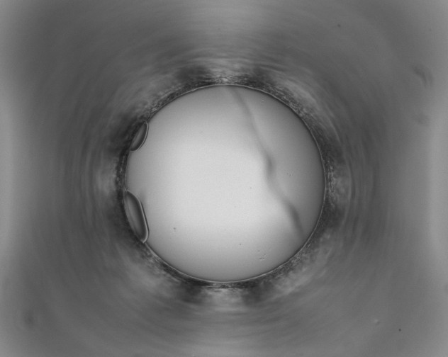 X0000111860221200908061342