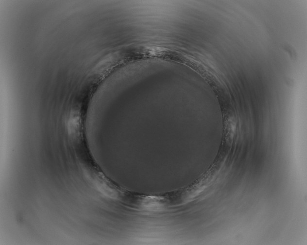 X0000111860222200908061342