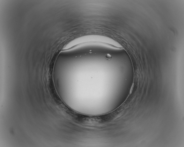 X0000111860223200908061342