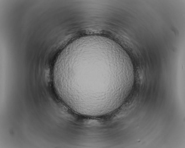 X0000111860224200908061342