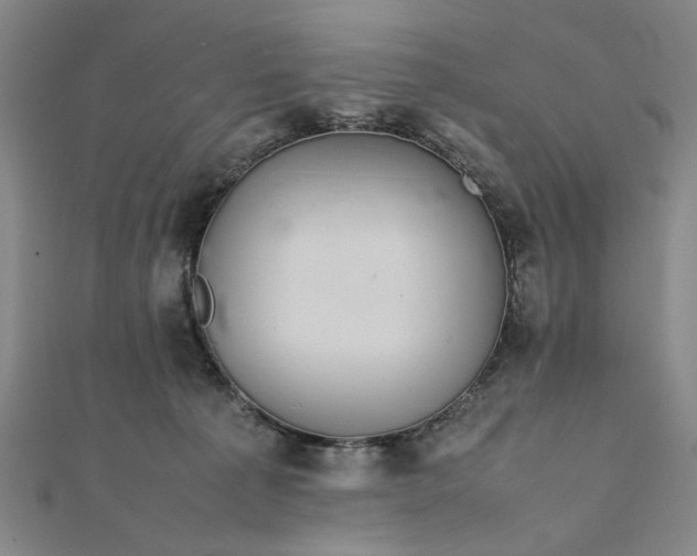 X0000111860225200908061342