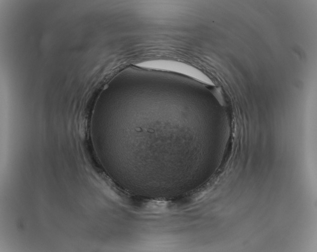 X0000111860227200908061342