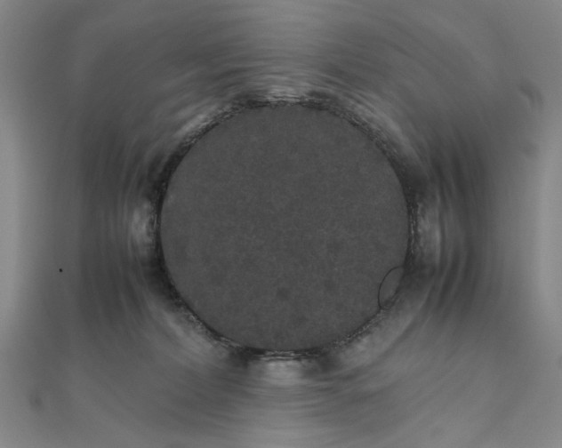 X0000111860228200908061342