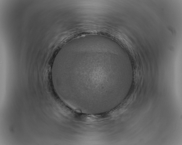 X0000111860229200908061342