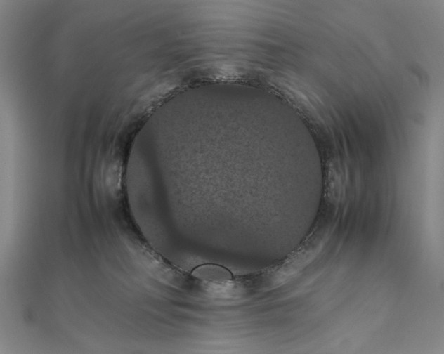 X0000111860230200908061342