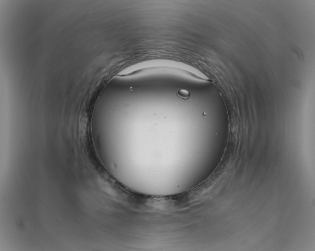 X0000111860231200908061342