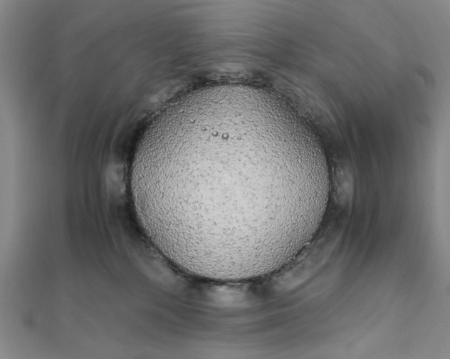 X0000111860232200908061342