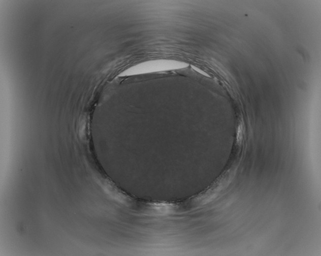 X0000111860233200908061342