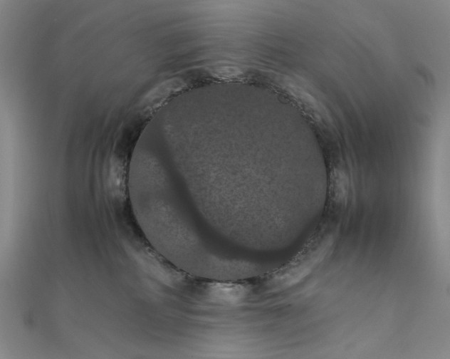 X0000111860234200908061342