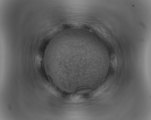 X0000111860235200908061342