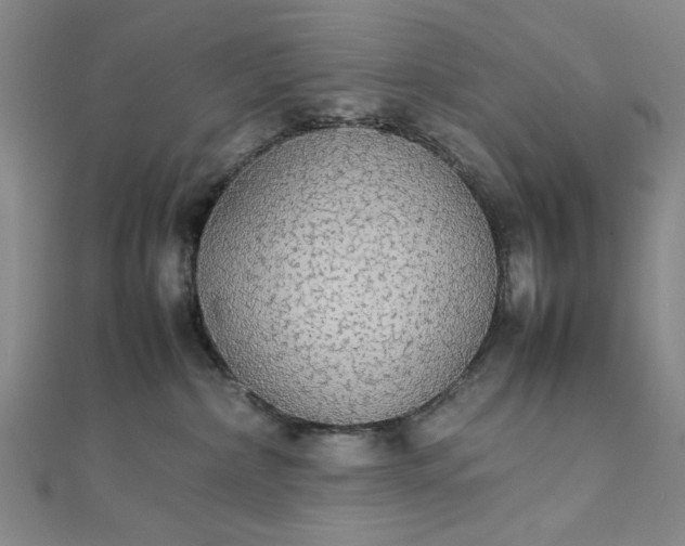 X0000111860236200908061342