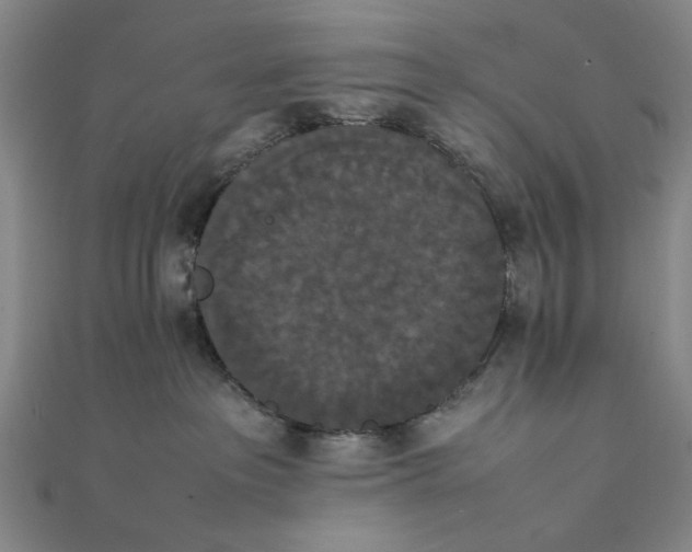 X0000111860237200908061342