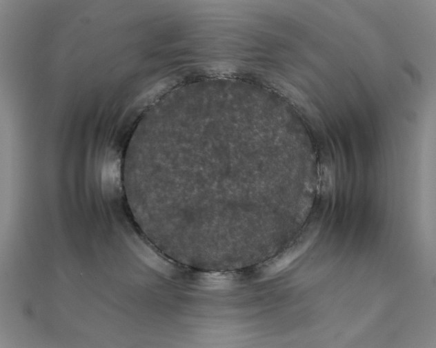 X0000111860238200908061342