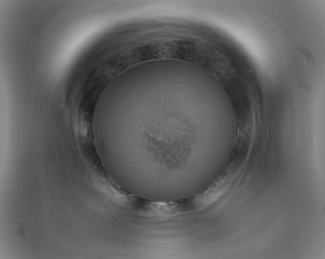 X0000111860239200908061342