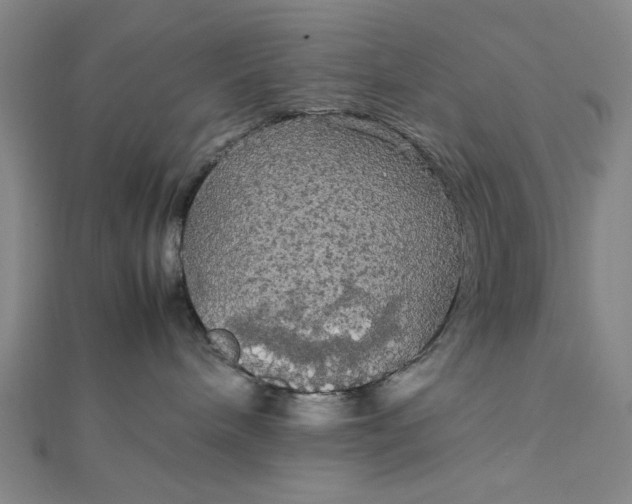 X0000111860240200908061342