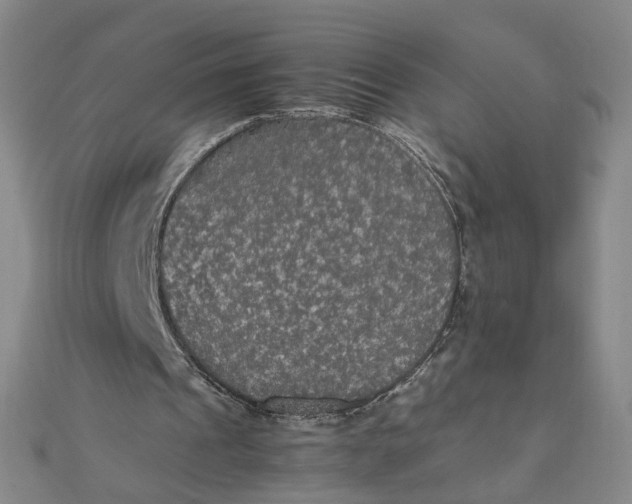 X0000111860241200908061341