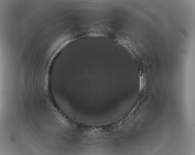 X0000111860243200908061341