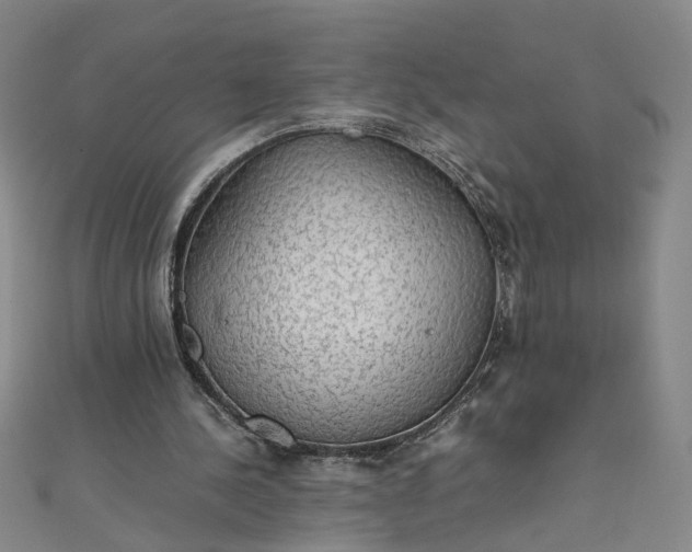 X0000111860244200908061341