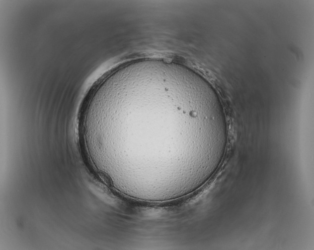 X0000111860246200908061341