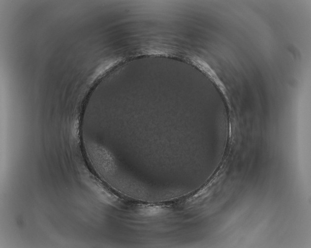 X0000111860249200908061341