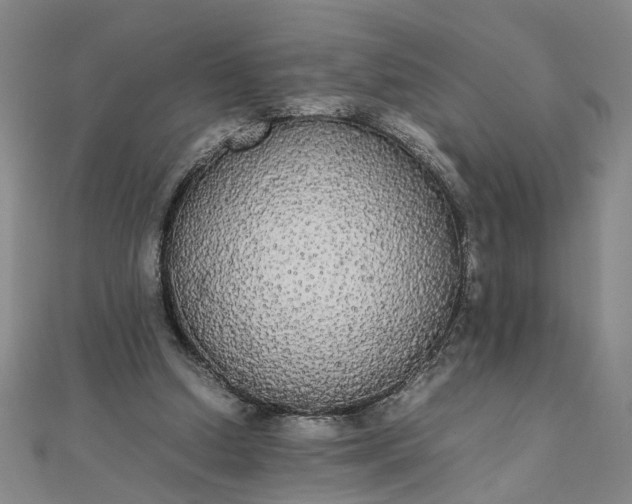 X0000111860250200908061341