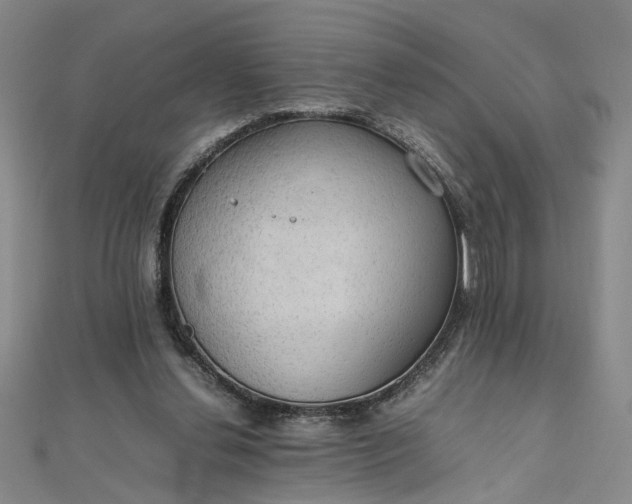 X0000111860252200908061342