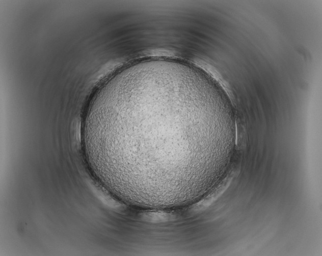 X0000111860253200908061342