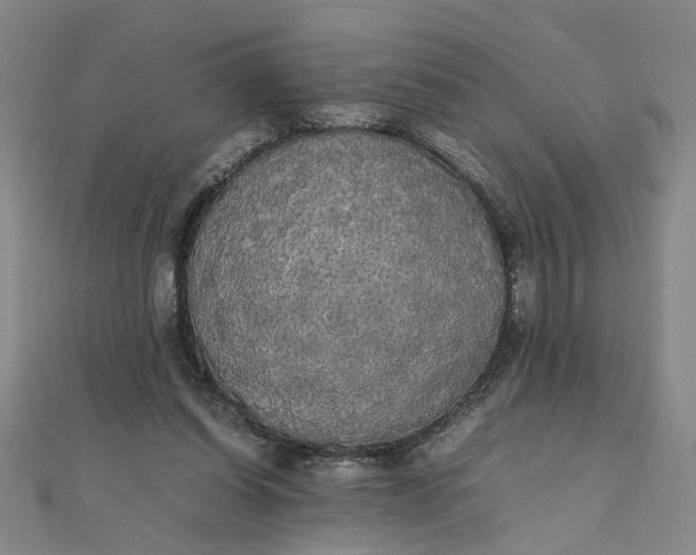 X0000111860254200908061342