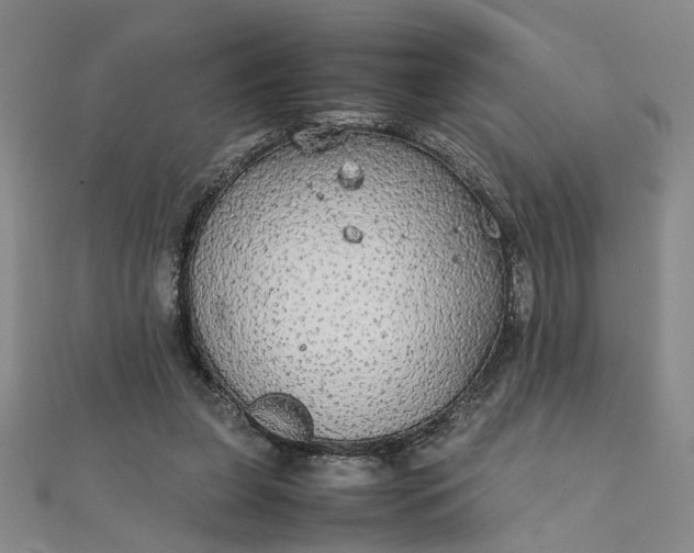 X0000111860255200908061342