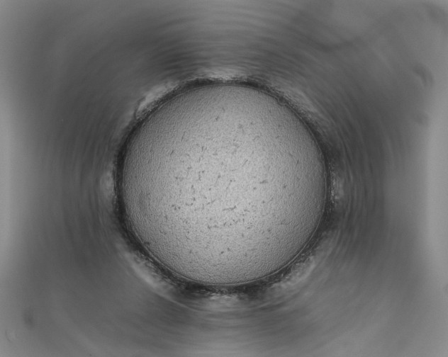 X0000111860256200908061342