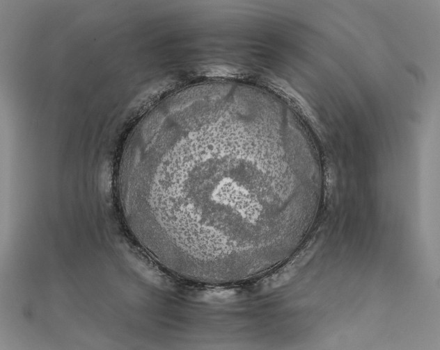 X0000111860257200908061342