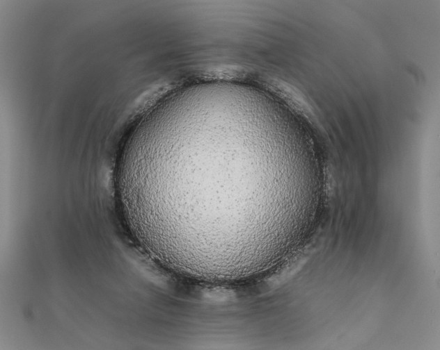 X0000111860258200908061342