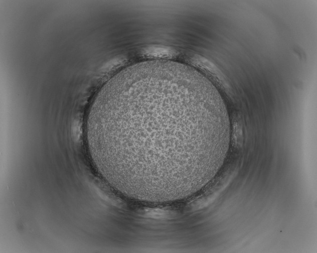 X0000111860259200908061342