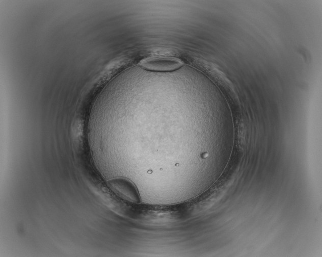 X0000111860260200908061342